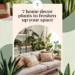 Image for: 7 Vibrant Home Decor Plants to Bring Freshness to Your Home