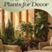 Image for: How to Choose the Right Plants for Your Home Decor